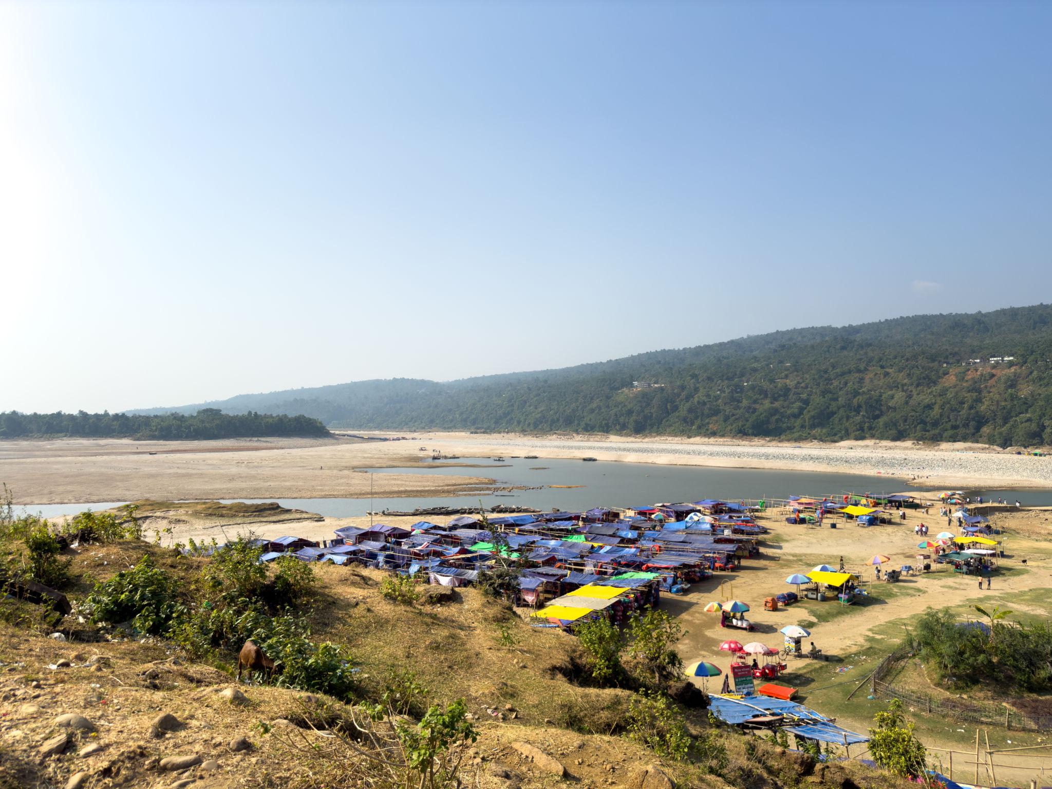 Green Sylhet 8